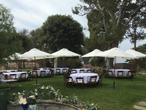 Thousand Oaks Party Rentals